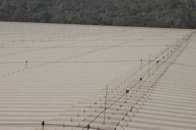 Industria de alimentos